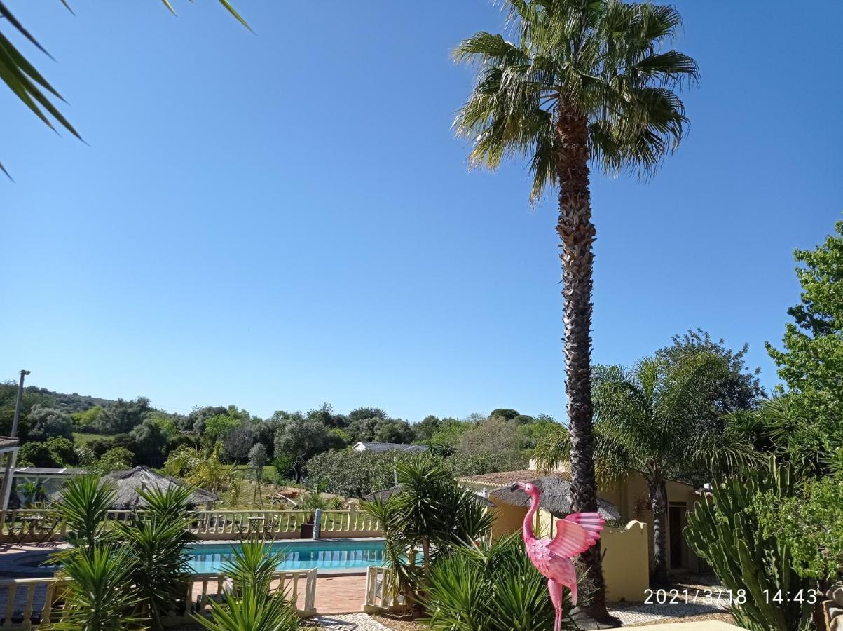 Quinta Pereiro Tropic Garden, Algarve Bed & Breakfast Moncarapacho Exterior foto