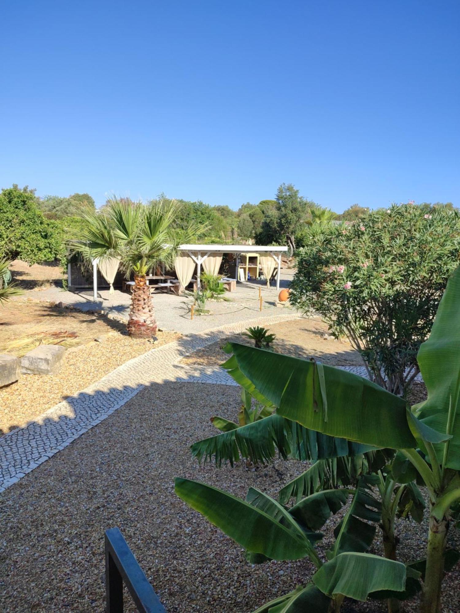 Quinta Pereiro Tropic Garden, Algarve Bed & Breakfast Moncarapacho Exterior foto